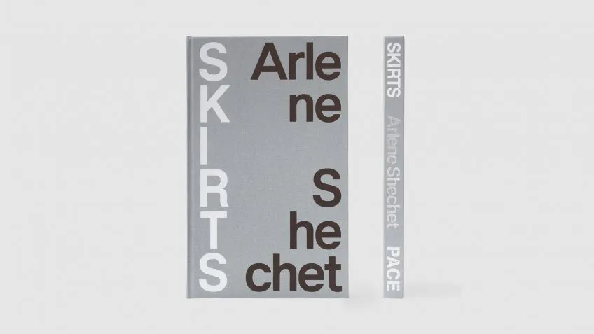 Exhibition promo for Arlene Shechet: Skirts