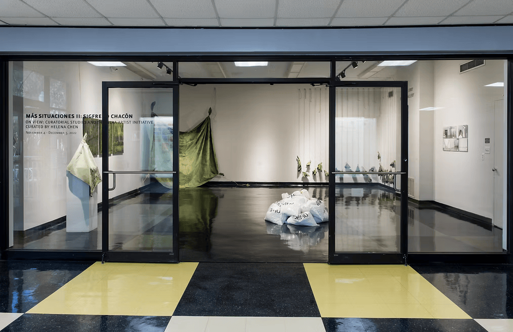 Más Situaciones II exhibition photographed from exterior of Gary R. Libby Focus Gallery